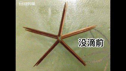 震惊！物理所深夜惊现不明飞行物，居然是...| 正经玩954 / 作者:lkbt123 / 帖子ID:125592