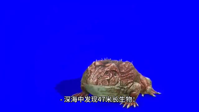 2020年神秘事件，对神帝感兴趣的请#持续关注作品。#未解之谜836 / 作者:岳兄弟散养家鸡 / 帖子ID:125709