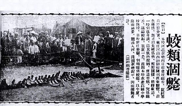 飞龙在天？四川夜空出现不明发光物！500米长，龙存在再添实证？125 / 作者:hedeafmz28 / 帖子ID:125736