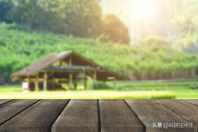如何提高生物学的学习效率950 / 作者:天之涯神之兵米 / 帖子ID:125790