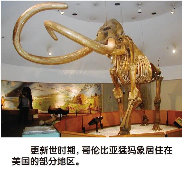 宇宙透镜中的地球824 / 作者:阿德莱德探路者 / 帖子ID:126378