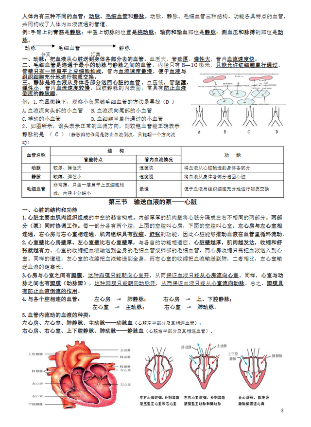 生物高分不是梦！班主任：背熟这份知识点清单，均分轻松上95！725 / 作者:山人佳燕品 / 帖子ID:126402