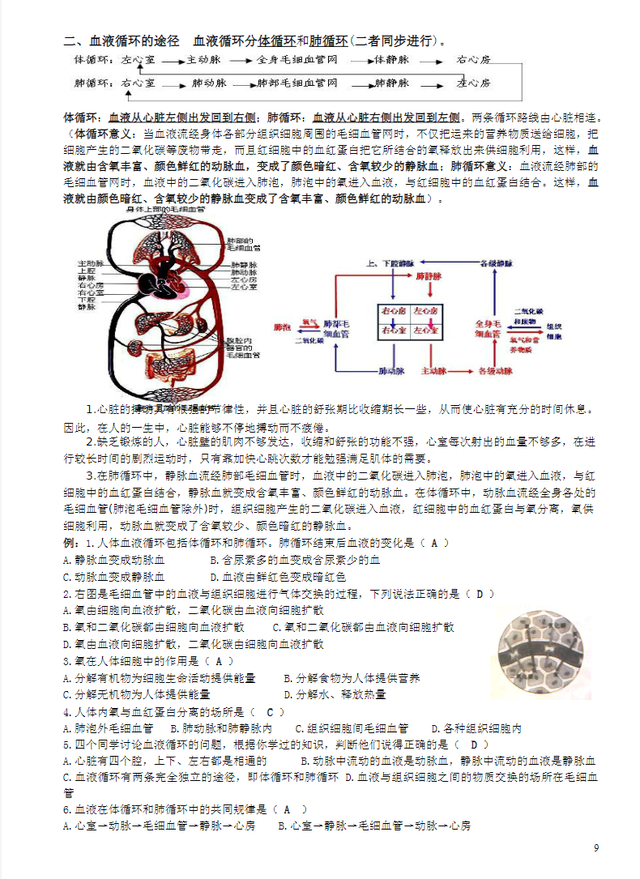 生物高分不是梦！班主任：背熟这份知识点清单，均分轻松上95！463 / 作者:山人佳燕品 / 帖子ID:126402