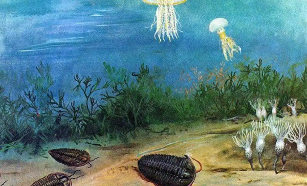 外星文明即将入侵地球？科学家：别急，我们只是想和他们&amp;#34;建交&amp;#34;315 / 作者:圣道 / 帖子ID:126566