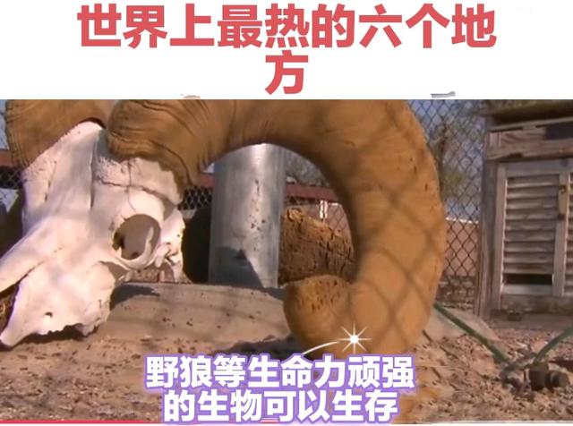 世界上最热的六个地方335 / 作者:18010063851 / 帖子ID:126579