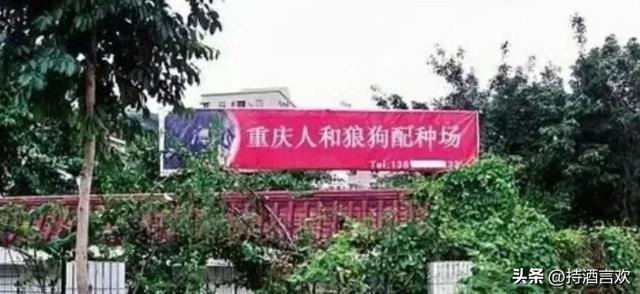 世界上已经没有什么能让我笑的了，除了这些193 / 作者:丽颜美容院郧 / 帖子ID:126639