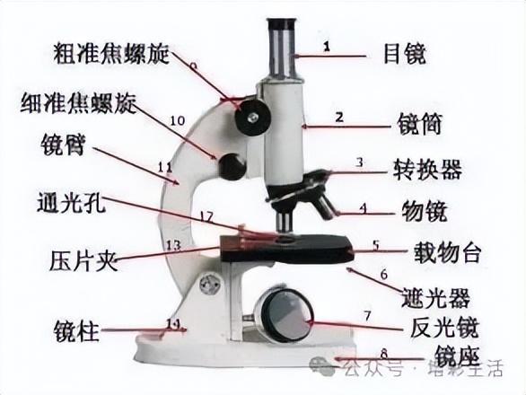 初中生物全册知识点总结（收藏备用）774 / 作者:壮壮妈2017 / 帖子ID:126788