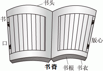 历史的尘埃——历史档案的装帧形制-12.jpg