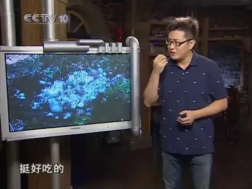 奥巴马证实ufo真实性，全球各处出现不明物体，嘉兴上空也有坠落727 / 作者:涵涵爸爸520 / 帖子ID:127365