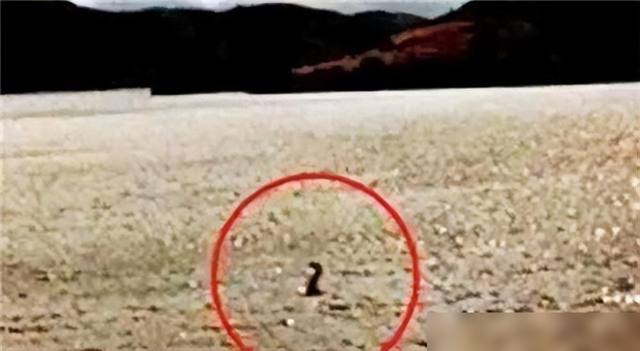 世界上六项神秘事件，其中3个发生在中国，至今科学无法解释136 / 作者:嬲乜黄 / 帖子ID:127439