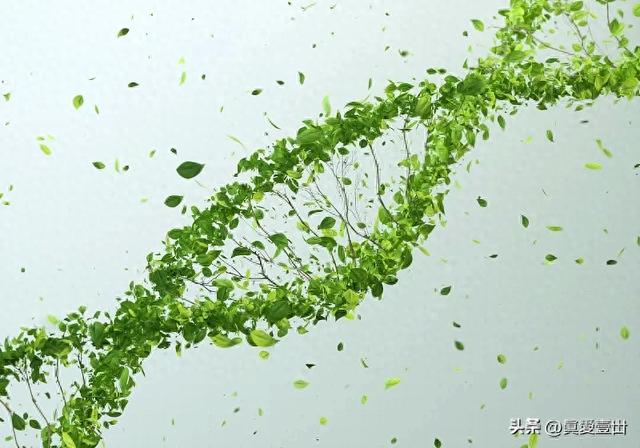 【科技名词】生物技术478 / 作者:第一个甲马俳 / 帖子ID:127517
