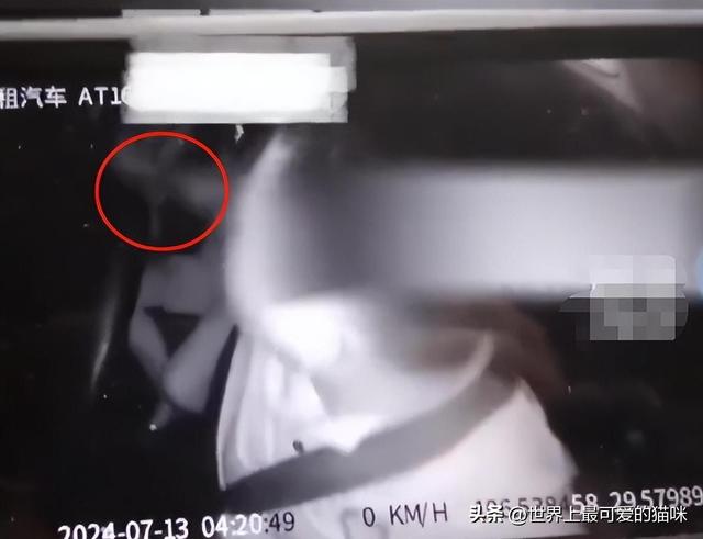 重庆出租车再爆丑闻：司机摸两名女乘客胸部抵车费！车内视频曝光732 / 作者:123457536 / 帖子ID:127756