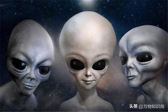 2013年，山东男子自称电死一个外星人，警方将其抓捕后怎样了882 / 作者:123457245 / 帖子ID:127872
