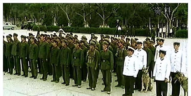 中国80年代发生的3大未解之谜，太神秘了，真相究竟是什么？859 / 作者:在涅诒 / 帖子ID:128075