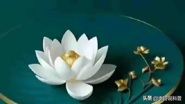 【 历史故事 】董卓强娶烈女遭痛斥！骂奸臣至死被誉为礼宗的传奇！-2.jpg