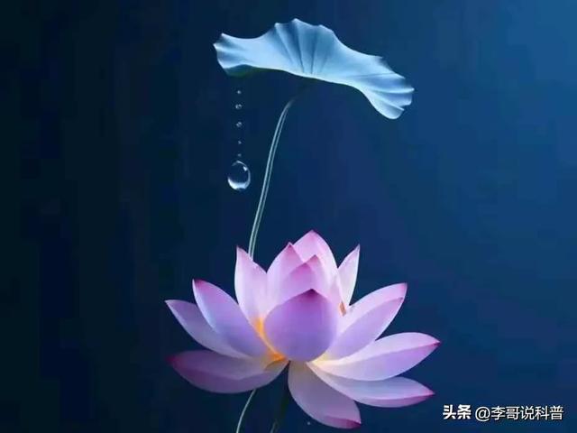 【 历史故事 】董卓强娶烈女遭痛斥！骂奸臣至死被誉为礼宗的传奇！-4.jpg