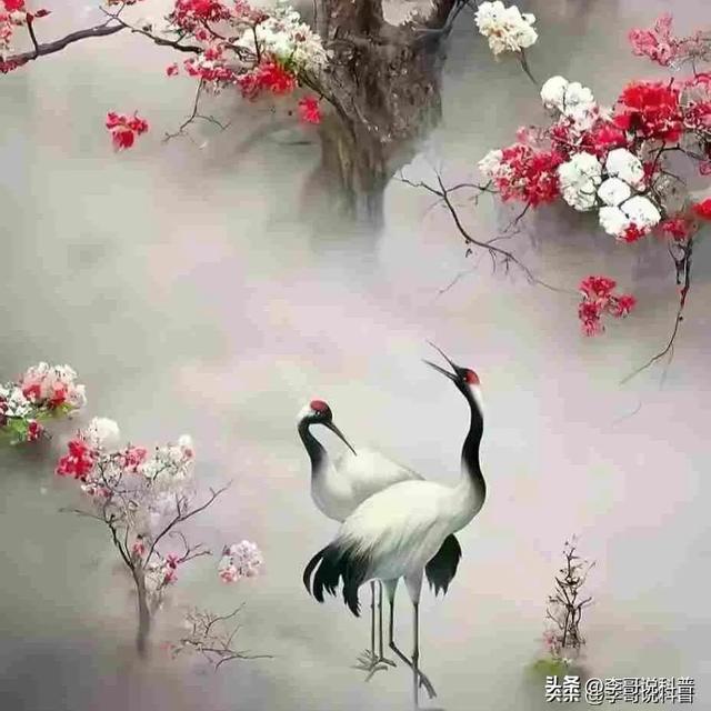 【 历史故事 】传奇的大明皇亲“八大山人”小传！画中有话白眼观世-4.jpg