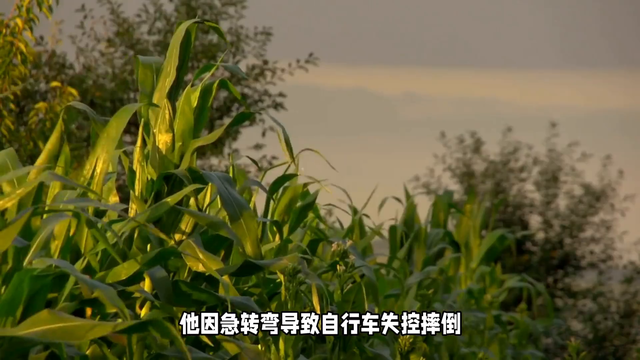 吉林互助村鬼遮眼诡异灵异事件739 / 作者:維健廣律 / 帖子ID:128179