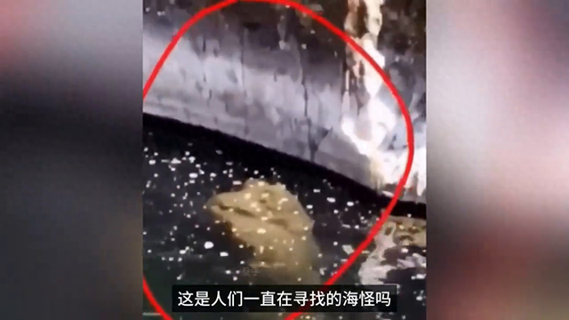 发生在各地的神秘事件，未经证实理性观看349 / 作者:秋天一且 / 帖子ID:128182
