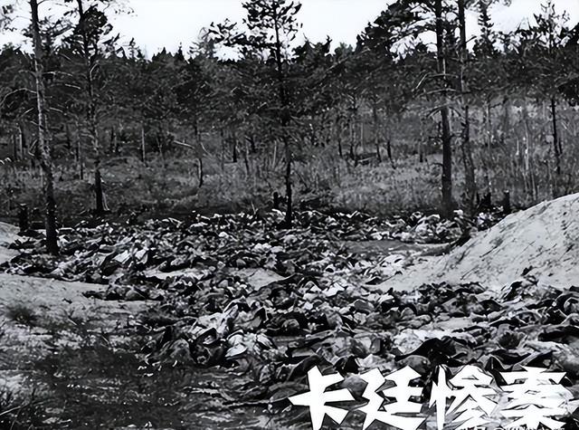 1991年，苏联公开绝密档案，曝光斯大林欺骗世人50年的真相-9.jpg