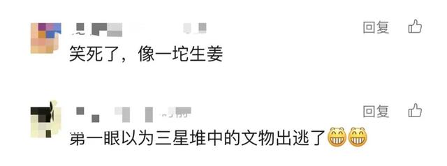 天空惊现不明飞行物！刚刚“破案”了！网友笑喷859 / 作者:倪丹军 / 帖子ID:128260