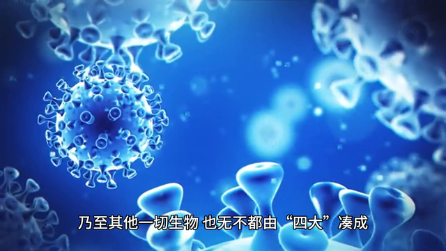 为什么佛教认为宇宙是“四大皆空”？935 / 作者:甜心猫舍 / 帖子ID:128303