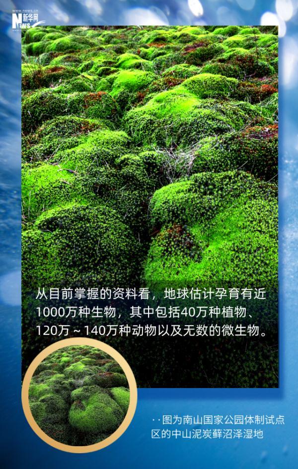 这组地球生命密码，每个人都应了解289 / 作者:行走的蜗牛_ / 帖子ID:128305