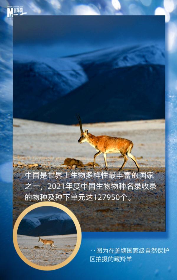 这组地球生命密码，每个人都应了解13 / 作者:行走的蜗牛_ / 帖子ID:128305