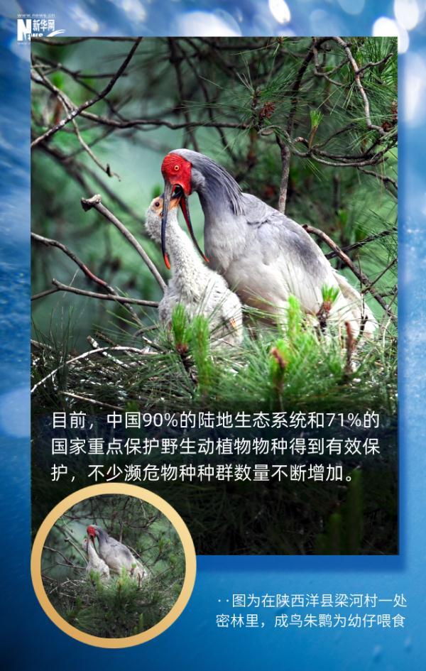 这组地球生命密码，每个人都应了解412 / 作者:行走的蜗牛_ / 帖子ID:128305