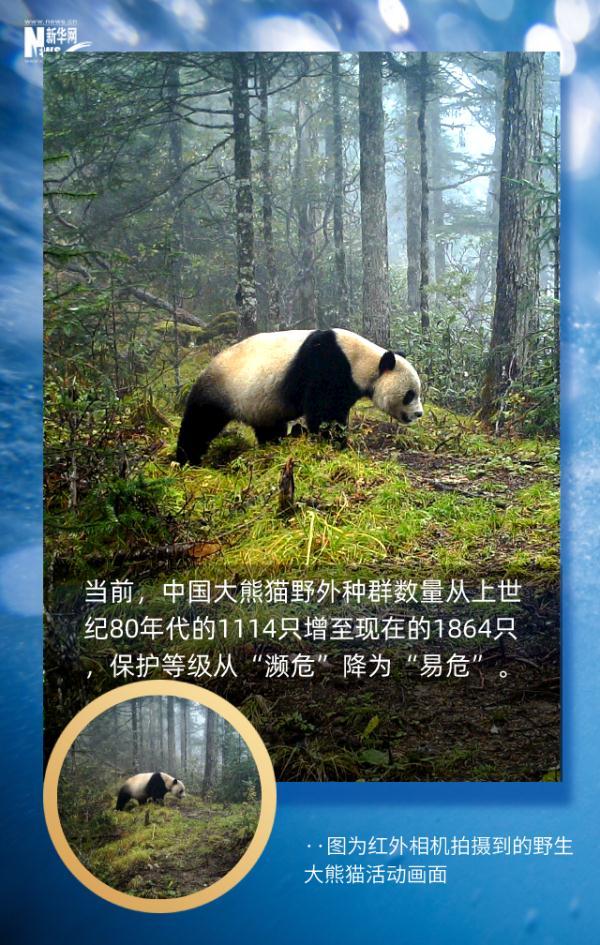 这组地球生命密码，每个人都应了解366 / 作者:行走的蜗牛_ / 帖子ID:128305