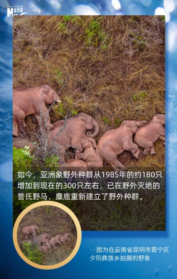 这组地球生命密码，每个人都应了解29 / 作者:行走的蜗牛_ / 帖子ID:128305