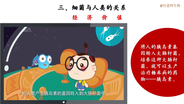 《细菌》2024新教材初中生物原创课件持续更新中······167 / 作者:风残殒落殒d / 帖子ID:128347