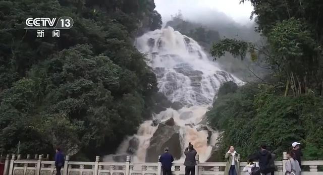 全球仅存约1000只！在哀牢山邂逅“世界上最神秘的鸟”306 / 作者:史剑浇 / 帖子ID:128350