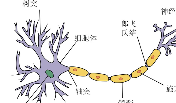物理学和生物学谁更牛？看完了你也想学物理808 / 作者:了看允侥 / 帖子ID:128365