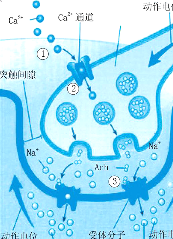 物理学和生物学谁更牛？看完了你也想学物理834 / 作者:了看允侥 / 帖子ID:128365
