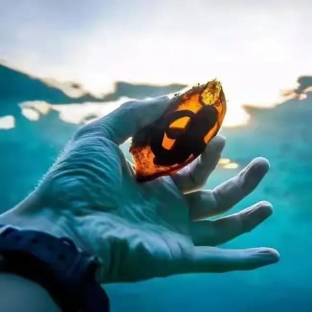 生物的奇妙生长与起源之谜 在自然界中203 / 作者:涨吧涨吧章 / 帖子ID:128431