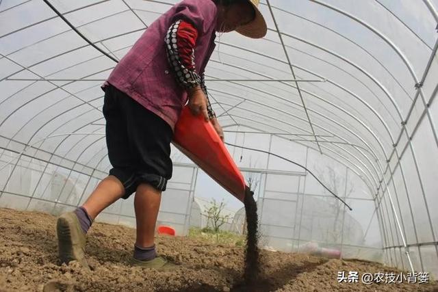 农民种地：到底是用有机肥好？还是用生物有机肥好？64 / 作者:宋长宁 / 帖子ID:128457