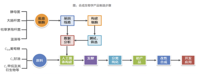 【关注】万字长文！一文了解合成生物学266 / 作者:独孤一山隙 / 帖子ID:128506