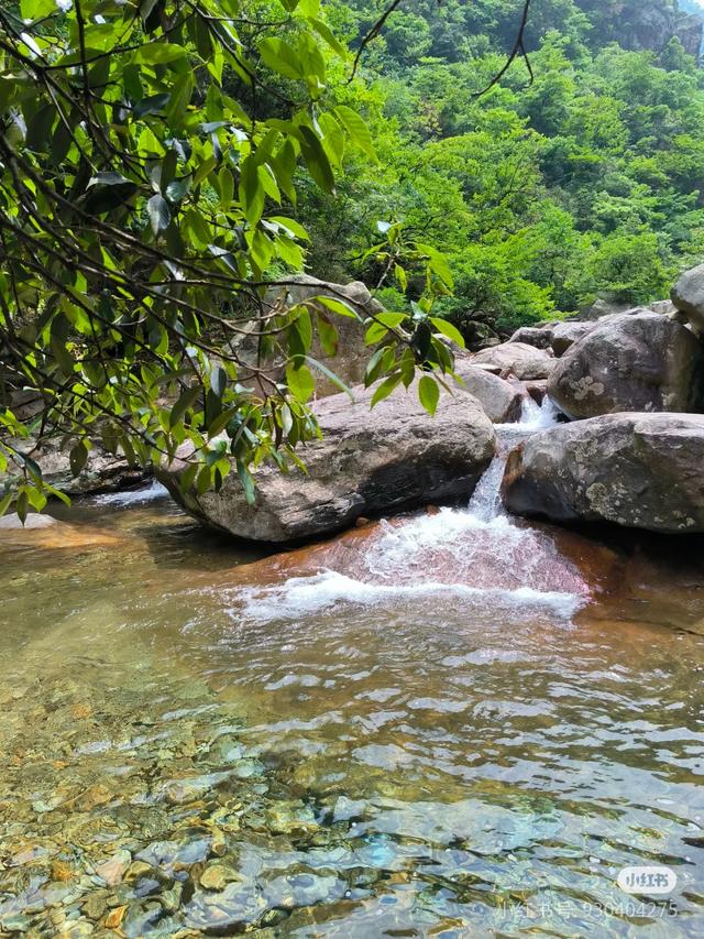 那些些不为人知的冷知识： 1.?生物相关：164 / 作者:心灰意冷437 / 帖子ID:128508