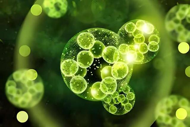 科学家在20亿年的石头里发现活的生命体！这些生物是如何生存的？877 / 作者:hyq481 / 帖子ID:128510
