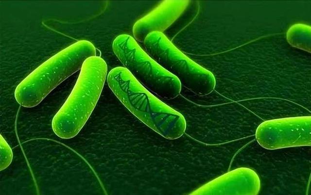 科学家在20亿年的石头里发现活的生命体！这些生物是如何生存的？712 / 作者:hyq481 / 帖子ID:128510