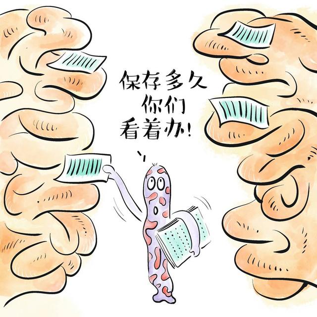 知识窗｜小技巧助你科学提升记忆力247 / 作者:分裂的硬盘悔 / 帖子ID:128558