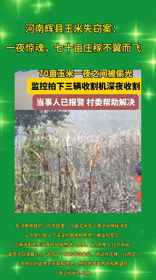 神秘事件：河南70亩玉米瞬间被偷，监控捕捉到关键线索841 / 作者:一段或九段肝 / 帖子ID:128593