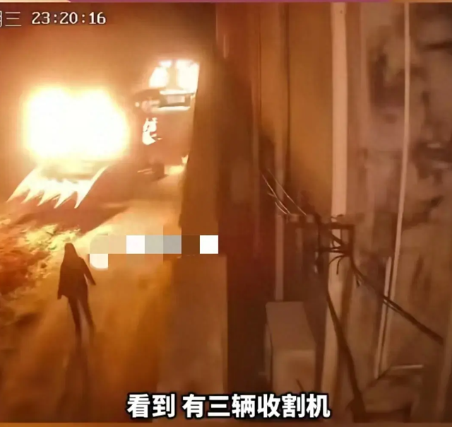 神秘事件：河南70亩玉米瞬间被偷，监控捕捉到关键线索223 / 作者:一段或九段肝 / 帖子ID:128593