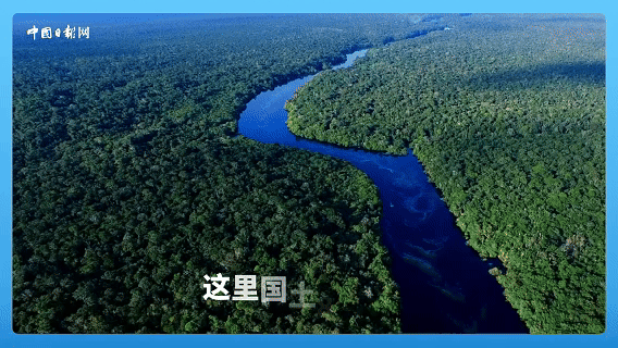 跟着习主席看世界｜走进巴西，感受桑巴与足球的双重狂欢895 / 作者:HY107 / 帖子ID:128680