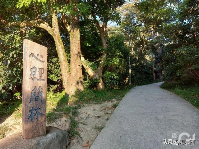 多人连续失踪！至今未破！这是香港史上最惊悚悬案337 / 作者:123458071 / 帖子ID:128698