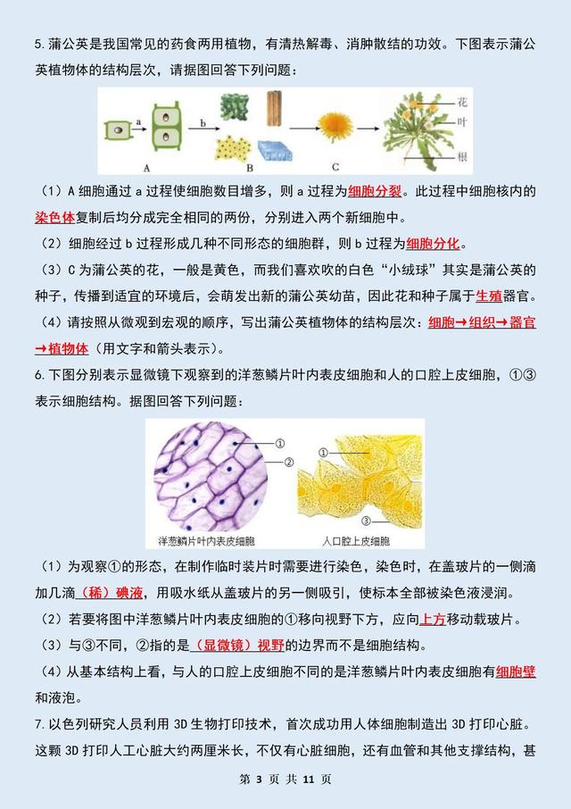 初一生物必读！七上细胞和生物体读图理解21 / 作者:绘粹凭 / 帖子ID:128757