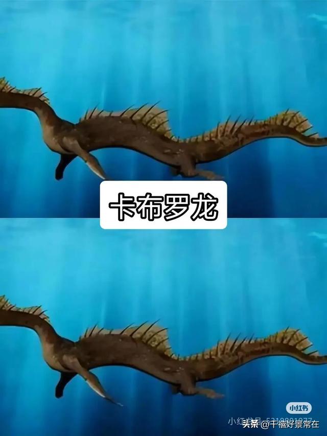 世界上的十大未知生物，胆小勿进166 / 作者:小猪散步 / 帖子ID:128837