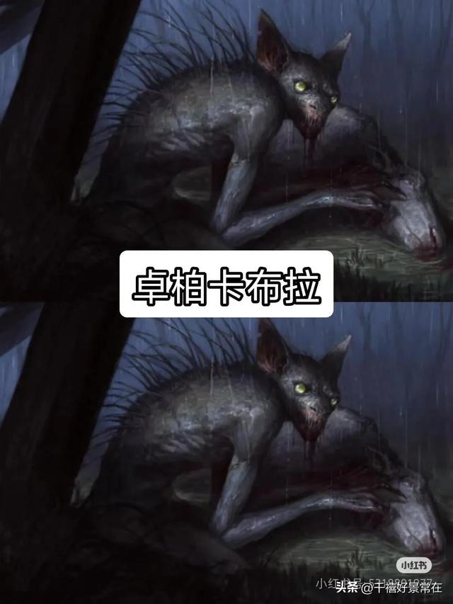 世界上的十大未知生物，胆小勿进732 / 作者:小猪散步 / 帖子ID:128837