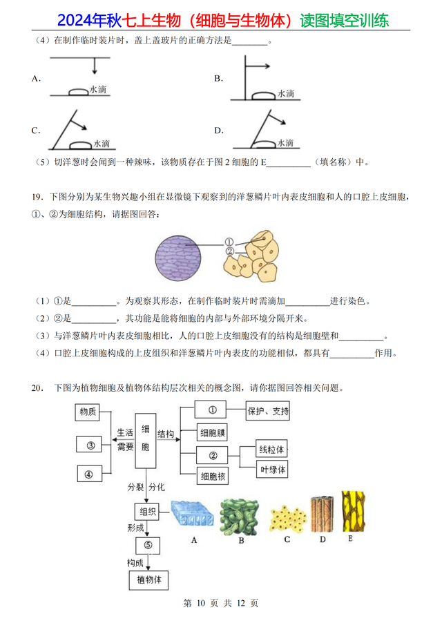 家长打印：24年七上生物（细胞）20道重点读图填空，做成专题训练789 / 作者:顺其自然362 / 帖子ID:128885